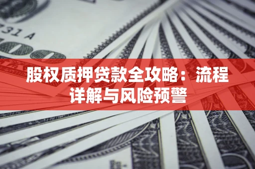 北京股权质押贷款全攻略：流程详解与风险预警
