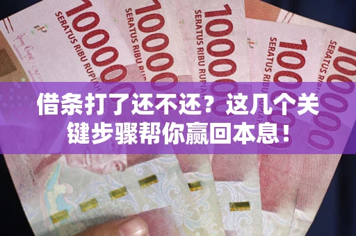 北京借条打了还不还？这几个关键步骤帮你赢回本息！