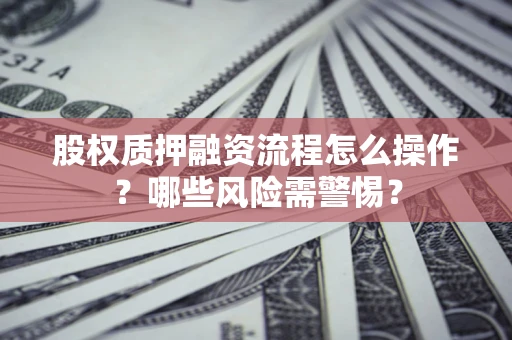 北京股权质押融资流程怎么操作？哪些风险需警惕？