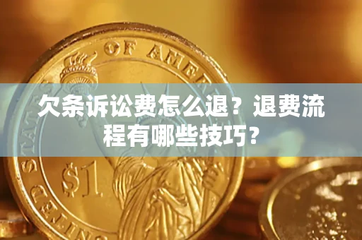 北京欠条诉讼费怎么退？退费流程有哪些技巧？