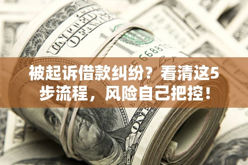 北京被起诉借款纠纷？看清这5步流程，风险自己把控！